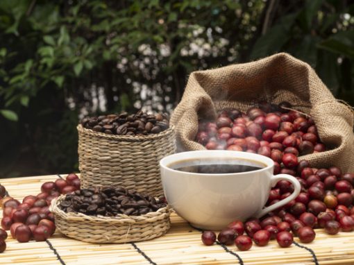 La producción de café de Colombia cerró con un aumento del 10% en febrero