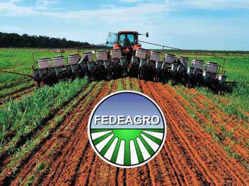 Fedeagro: se requieren inversión de más de mil millones de dólares para recuperar producción alimentaria