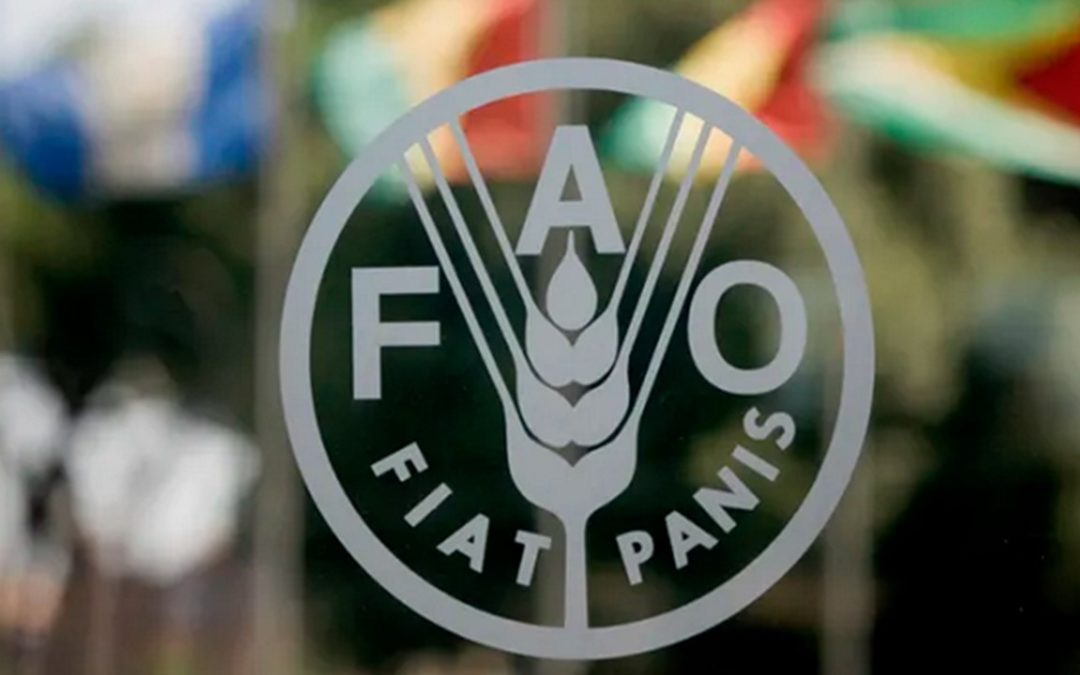 FAO reconoce mejora de Venezuela en el sector alimentario