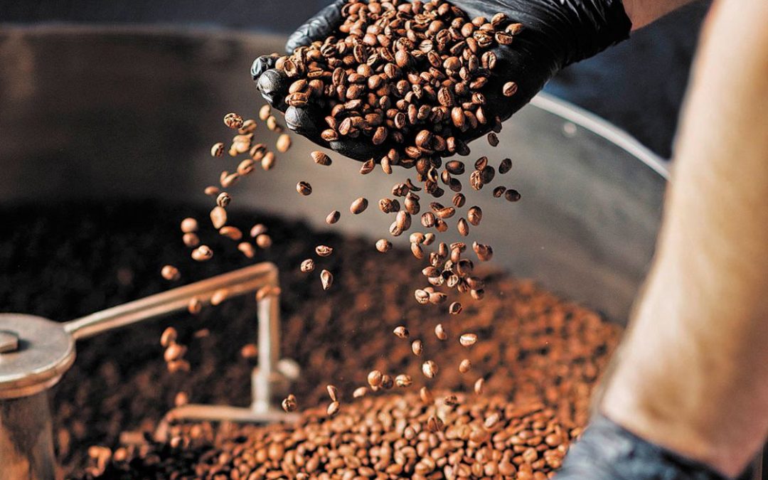 Fedeagro propone exportar café de especialidades de Boconó, Biscucuy y otras regiones