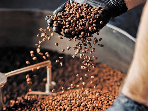 <strong>Estiman para este año una producción de 600.000 quintales de café</strong>