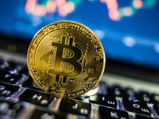Bitcoin sube a 43.000 dólares pero los traders advierten que las altcoins tendrán un "dolor real"