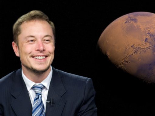 <strong>Musk respalda la idea de que habrá 1.000 millones de robots humanoides para el 2040</strong>