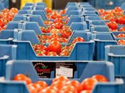 Guterres revela intensos contactos para desbloquear exportación de alimentos