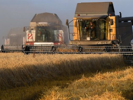 SovEcon aumenta pronóstico de exportación de trigo ruso para 2021/22