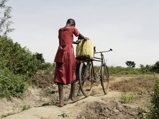 OMS pide 123 millones de dólares para atender crisis en el Cuerno de África