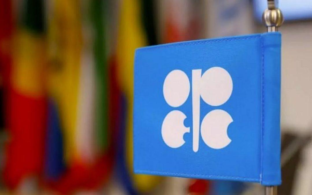 Francia se declara «estupefacta» y critica maniobras OPEP sobre combustibles fósiles