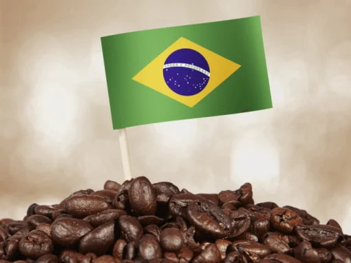 Cosecha del café de Brasil para el 2023 será de 50-56 millones de sacos