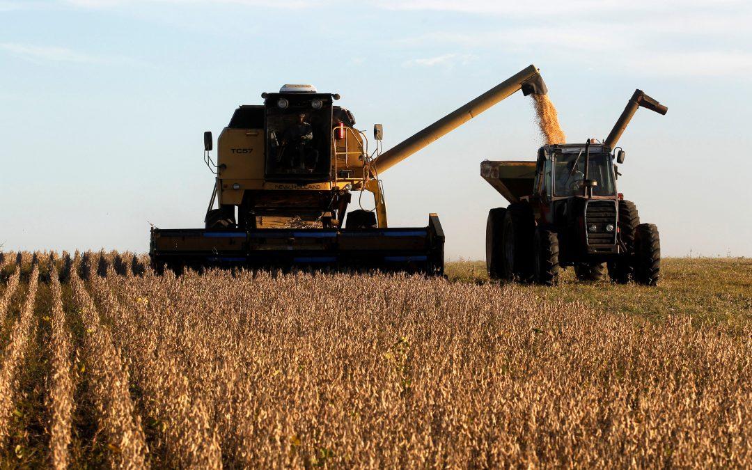 Procesamiento de soja de EEUU alcanza cifra récord de 197,787 millones bushels en marzo
