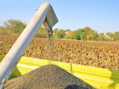 La cosecha combinada de grano y oleaginosas en Ucrania caerá un 10% en 2023 -ministro