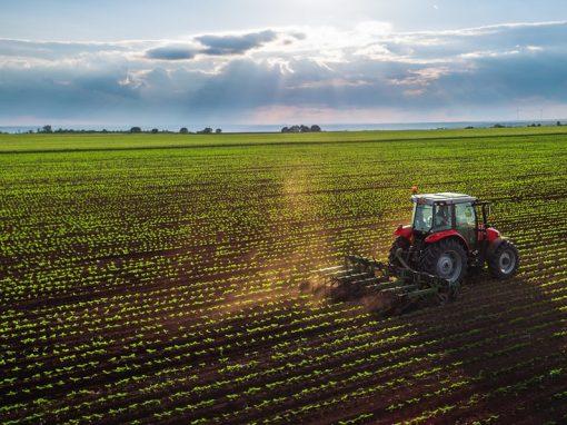 <strong>Sector agrícola venezolano podría aportar este año alrededor de US$10.000 millones al PIB</strong>