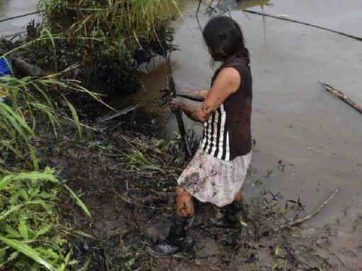Alertan sobre riesgos en reserva natural de Perú por posible explotación petrolera