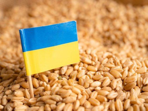 <strong>El Foro 'Grano de Ucrania' recauda más de 90 millones para comprar cereales para los necesitados</strong>