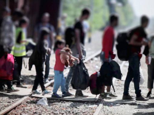 Más de 35 mil refugiados se incorporaron a la economía mexicana