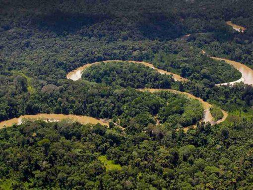 <strong>La Usaid lanza su mayor proyecto de $24 millones para la Amazonía ecuatoriana</strong>